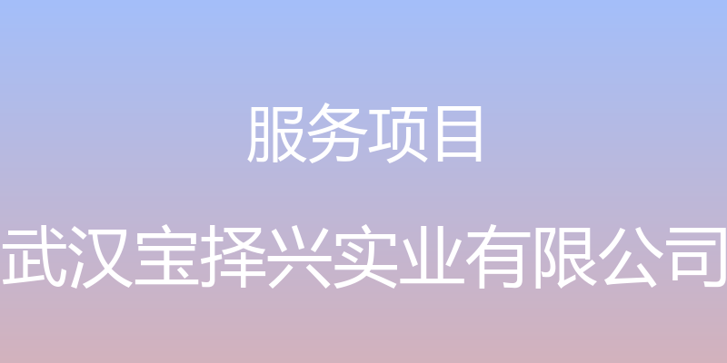 服务项目 - 武汉宝择兴实业有限公司