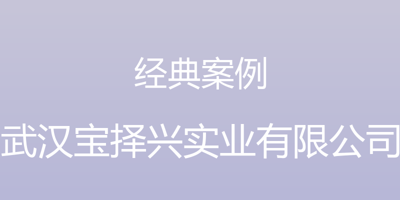 经典案例 - 武汉宝择兴实业有限公司