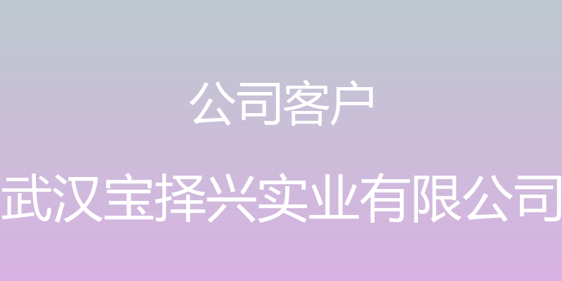 公司客户 - 武汉宝择兴实业有限公司