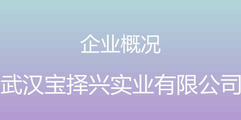 企业概况 - 武汉宝择兴实业有限公司