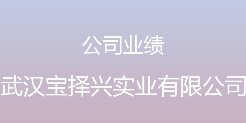 公司业绩 - 武汉宝择兴实业有限公司