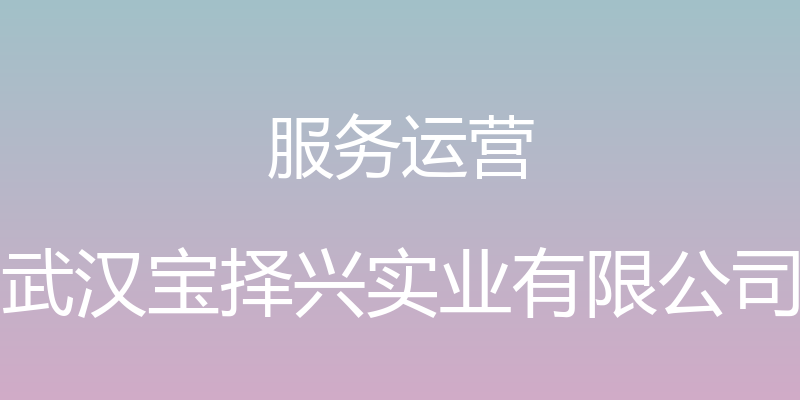 服务运营 - 武汉宝择兴实业有限公司