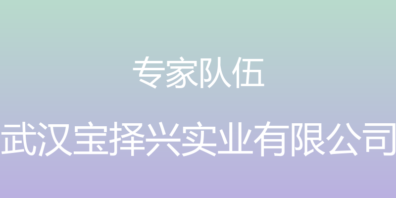 专家队伍 - 武汉宝择兴实业有限公司